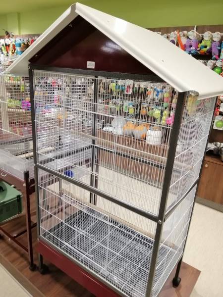 Parrot Cage